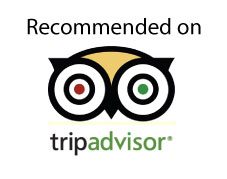 tripadvisor